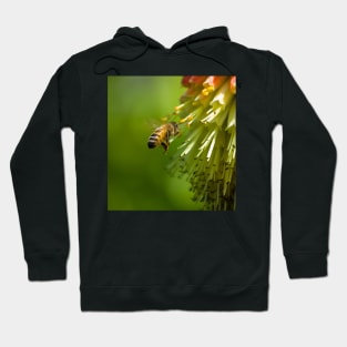 Bee in Flight Hoodie